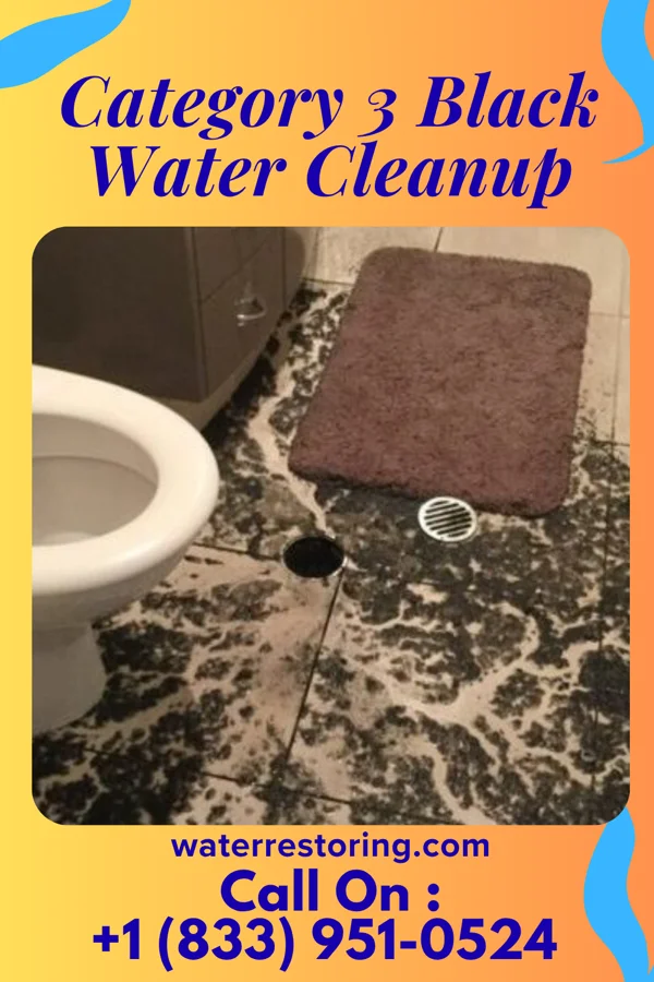 Category 3 Black Water Cleanup in Evanston, WY