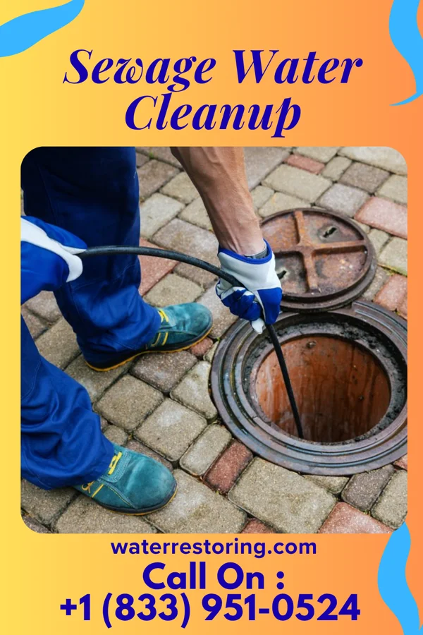 Sewage Water Cleanup in Evanston, WY